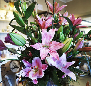 Products: Staff Pick DIY Box The Flower Farm