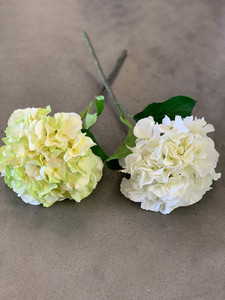 Hydrangeas theflowermerchant