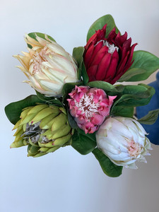 Proteas theflowermerchant