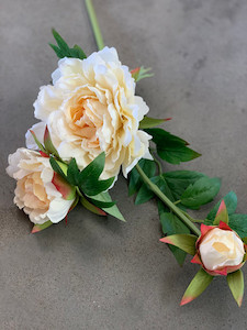 Peony 3 Heads theflowermerchant