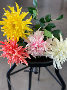 Products: Dahlias theflowermerchant