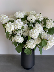 Snowballs theflowermerchant