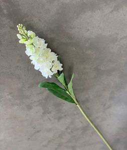 Products: Stock theflowermerchant