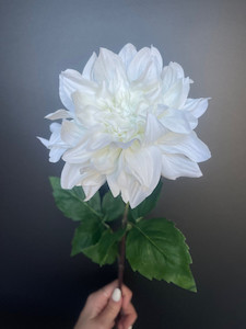 White Dahlia theflowermerchant