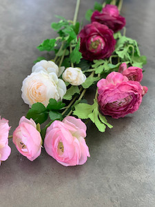 Ranunculus theflowermerchant