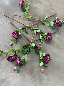 Purple Camelia theflowermerchant