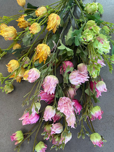 Products: Hop Flowers theflowermerchant