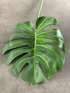 Products: Large Monstera theflowermerchant