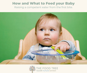 How and What to Feed your Baby Programme The Food Tree