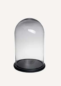 Glass Dome Black Base -X Large