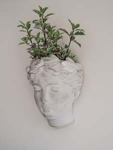 Quick Order: Mia | Cement head Planter