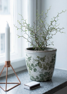 Homewares: Aged Green Vines Planter - 16cm