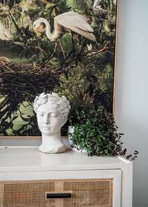 Homewares: Naiomi | Cement head Planter