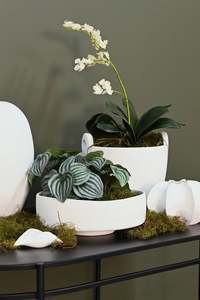 Kitchen: Bella Bowl | White