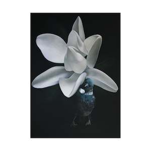 Jane Crisp: Hide and Seek  |  Print  |  by Jane Crisp