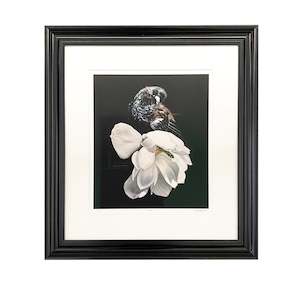 Jane Crisp: Amore  |  Print  |  by Jane Crisp