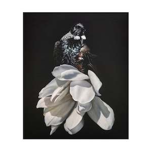 Jane Crisp: Boundaries  |  Print  |  by Jane Crisp