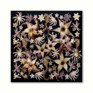 Sally Tagg: Stapelia Sea Garden  |  Print  |  by Sally Tagg