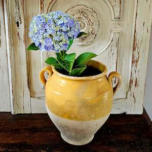 Antique confit pot (2)