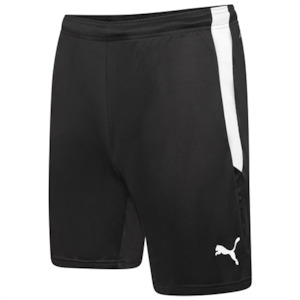 Pants Shorts: Puma Team Liga Training Shorts 2 65766756