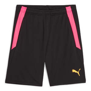 Puma Team Liga Training Shorts 65766757