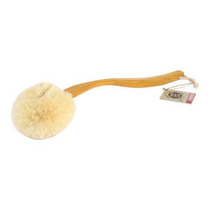 Long Handled Back Brush