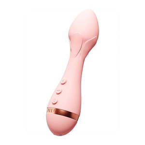 Rose 2 Bullet Vibrator