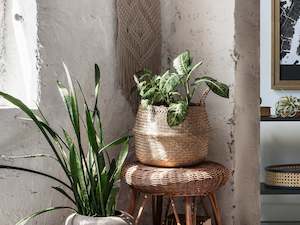 Seagrass Woven Basket Belly Basket - Set of 2 - S/M