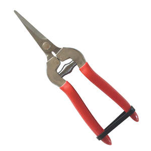 Garden Tools: Grape Snips