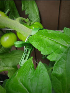We Can Recommend This: Uncle Jacks Plant Clips