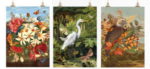 Kitchen: Vintage Bird Tea Towels by Tanya Wolfkamp