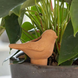 Little Terracotta Bird Waterer