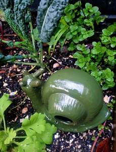 Outdoor: Ceramic Snail Slug Trap
