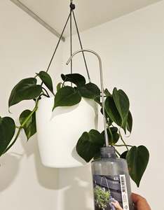 Outdoor: Watering Bottle for Hanging Plants