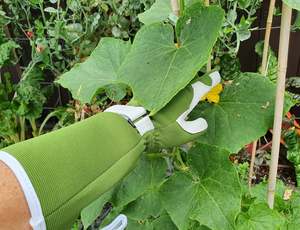 We Love And Recommend: Long Sleeved Garden Gloves