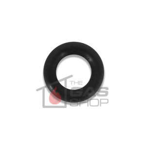 Products: ORING Companion