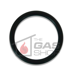 Products: ORING for RG0205