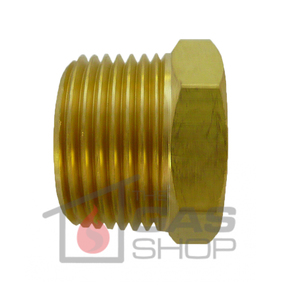 Products: Brass Plug