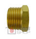 Brass Plug