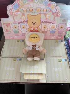 Miscellaneous 1: Winnie the Pooh Candy Bear Plush Series