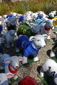 Gregor Kregar: Mathew 12:12 Cup