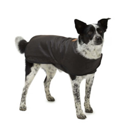 Pets: Woollen Dog Coats