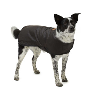 For The Dog: Oilskin & Wool Dog Coat | Weatherproof Adventure Jacket for Dogs