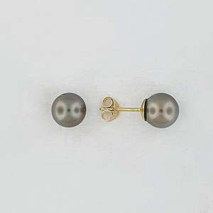 Pearl Jewellery: Tahitian Pearl 9ct Gold Earrings
