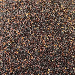 Quinoa Black