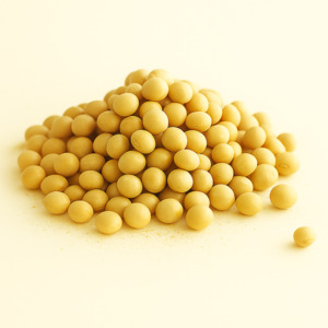 Beans: Soy Beans