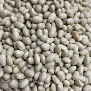Beans: Navy/Haricot Beans