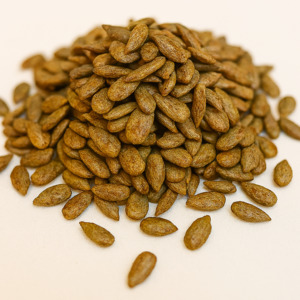 Tamari Toasted Sunflower Seeds