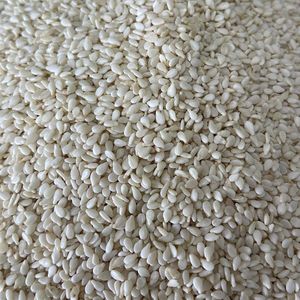 Sesame Seed White