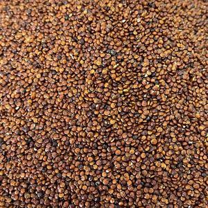 Quinoa Red
